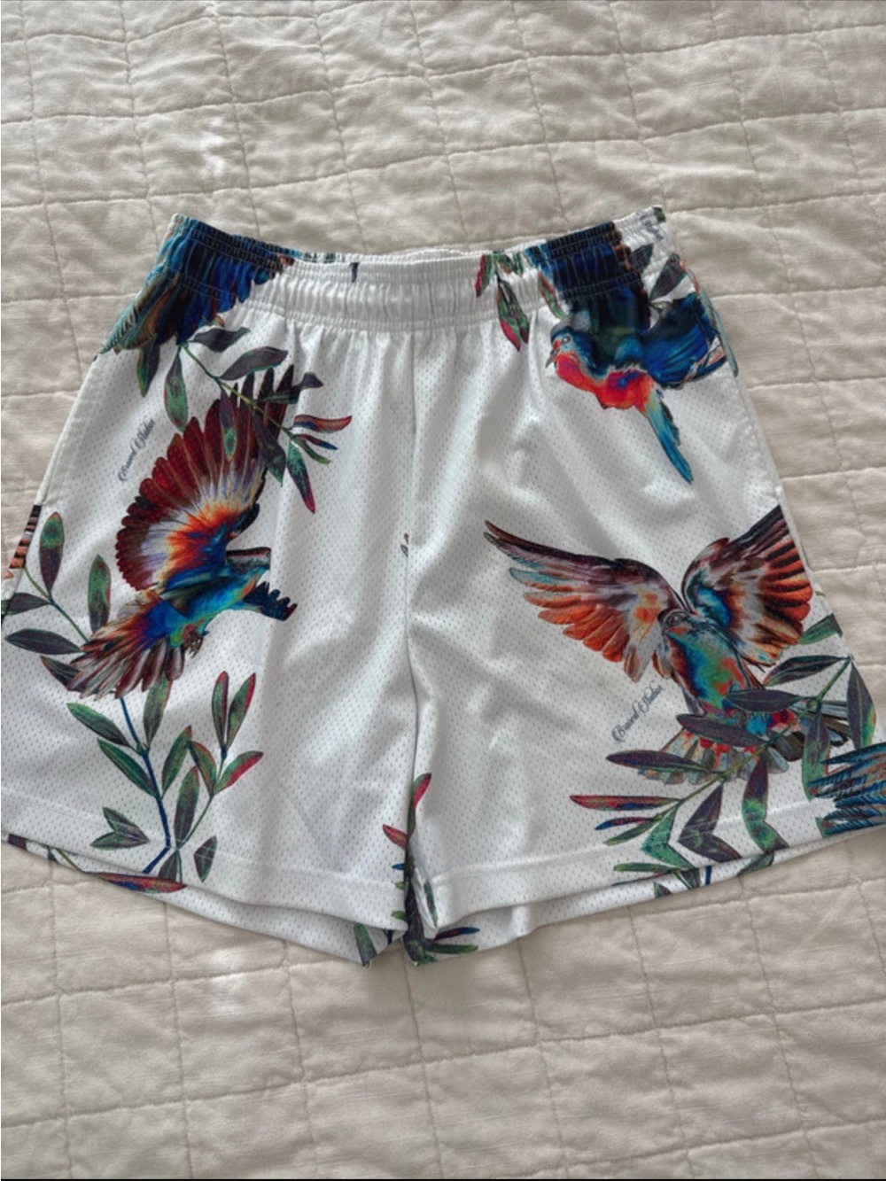 Bravest Studio Colorful Bird Short